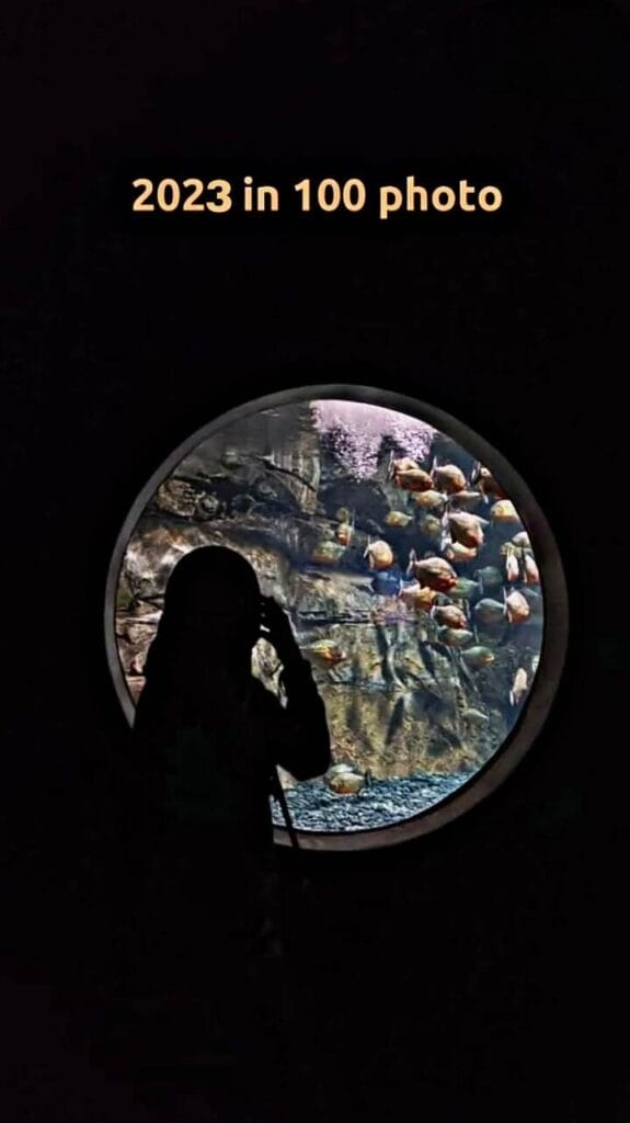 Rara Capcut Template