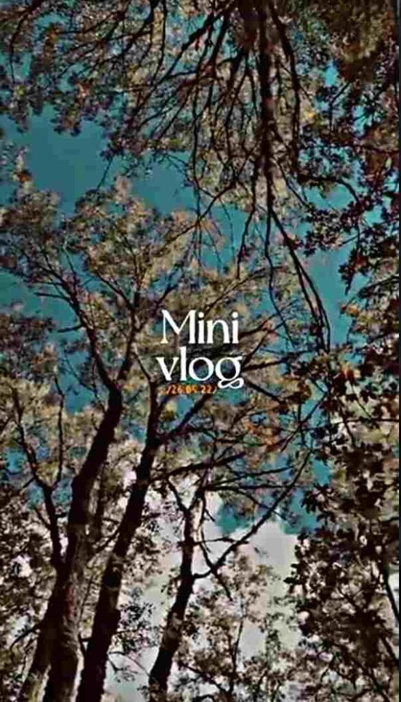 Vlog CapCut Template