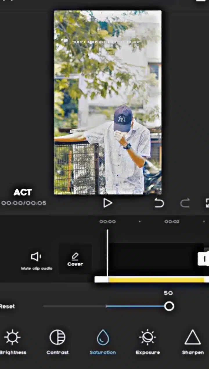 Adjust Filter Capcut Template