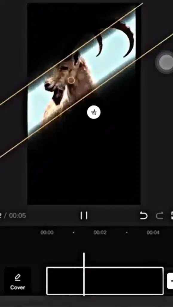 Picsart 23 10 15 13 38 44 581