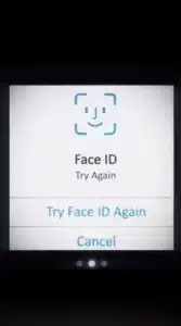Face ID CapCut Template