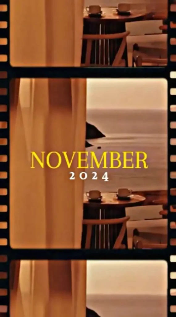 November Dump Capcut template