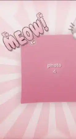 Meow Meow Capcut Template