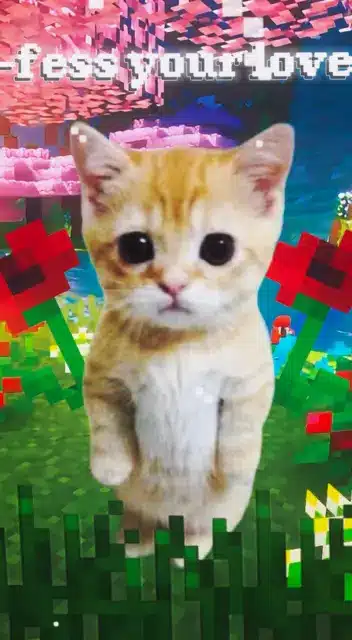 Confess Your Love TNT Capcut Template